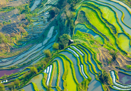農(nóng)林機(jī)械